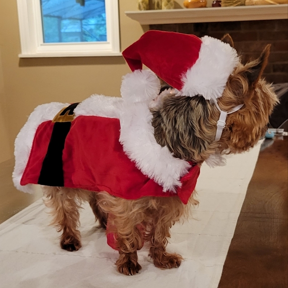 ❤️🎄Host Pick!🎄❤️ Doggo Santa Outfit S - Picture 5 of 16